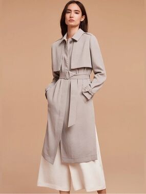 Aritzia Wilfred Trench Coat